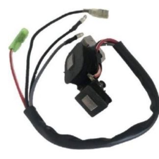 Generator Magneto 950W