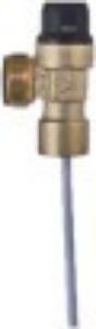 Safety Valve Female 600kpa